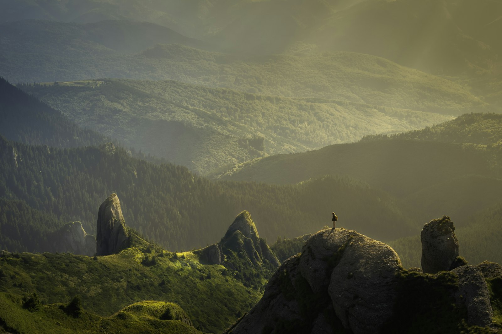 Emotionale Energie frisst physische Energie zum Frühstück